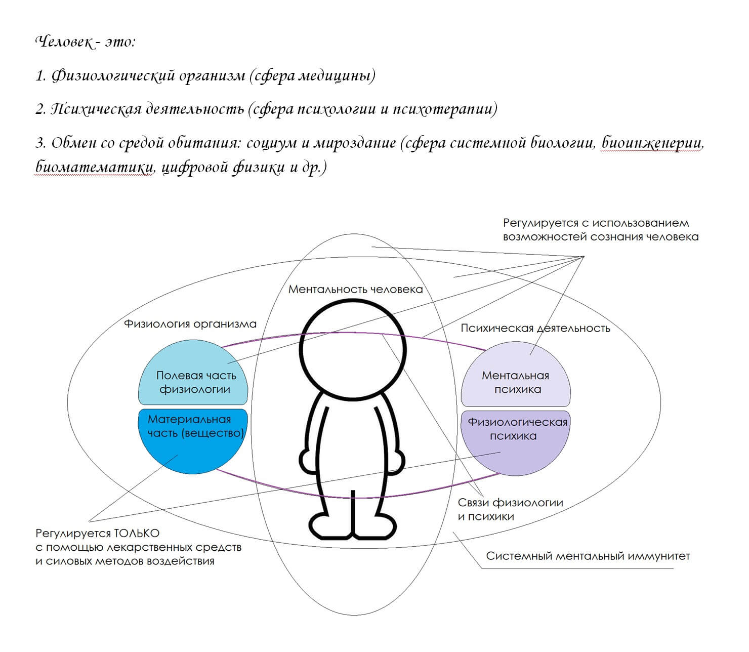 Функционирование клеток организма